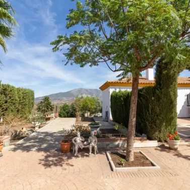 Sale of finca - cortijo in Entrerrios