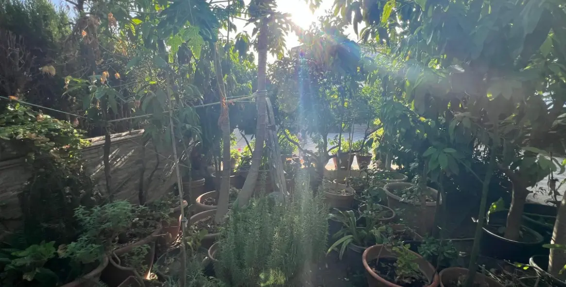 Продажа дома на две семьи в Estepona 8