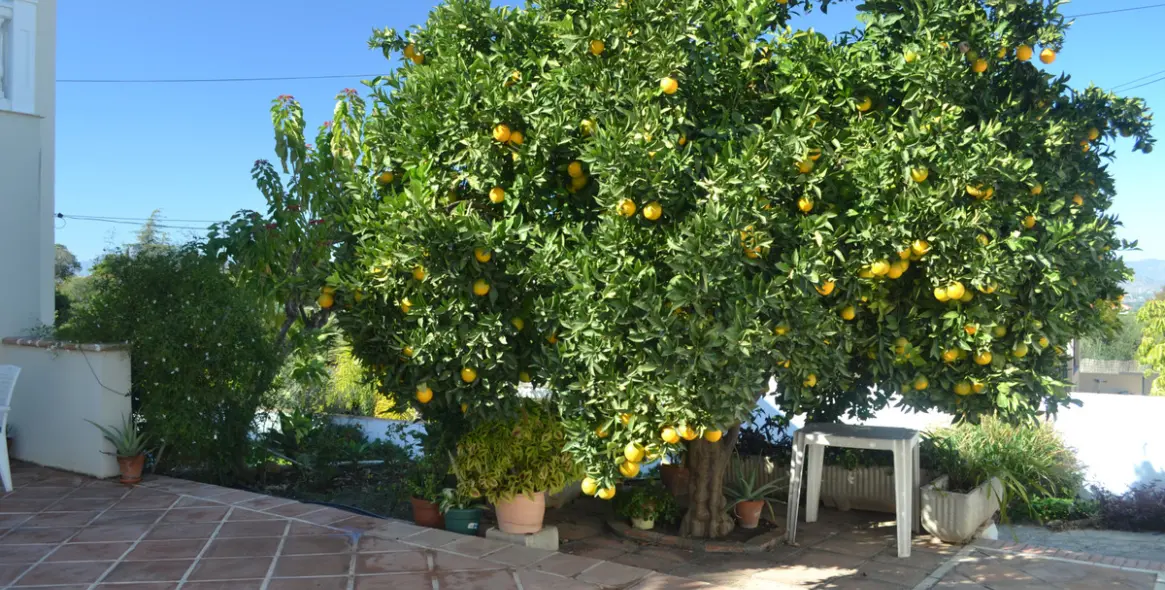 Venta de villa independiente en Alhaurín de la Torre 50