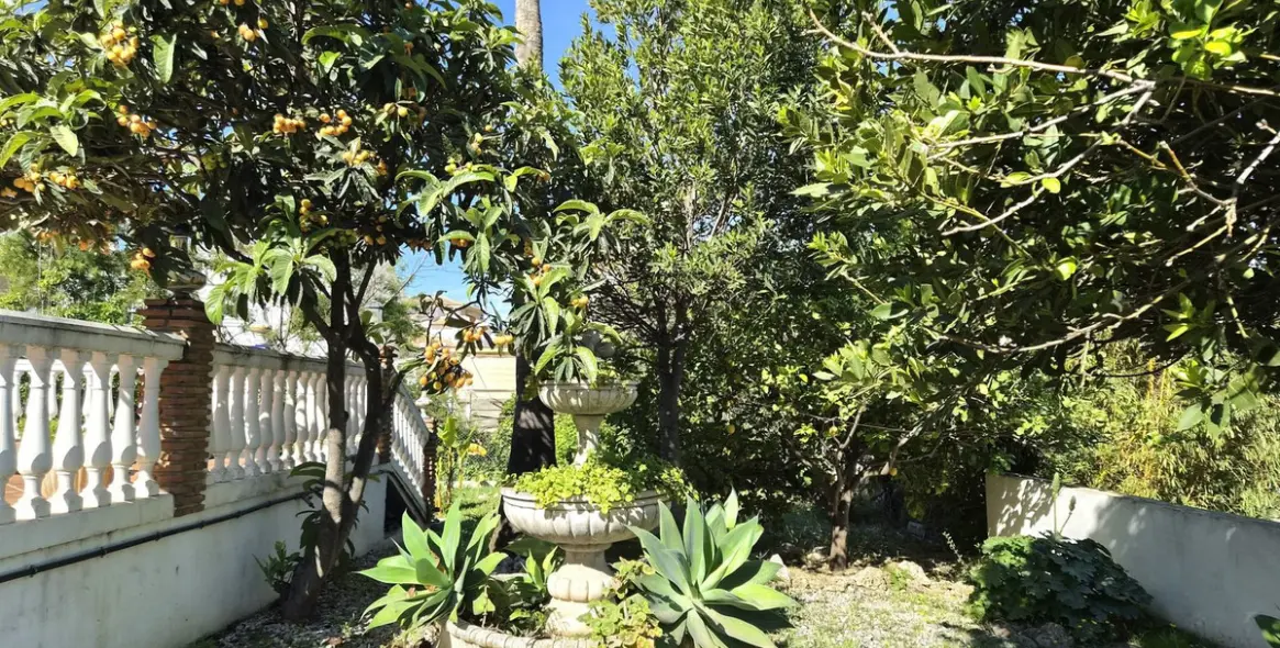 Продажа  отдельно стоящей виллы в Alhaurín de la Torre 67