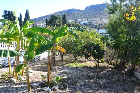 Image 60 thumb