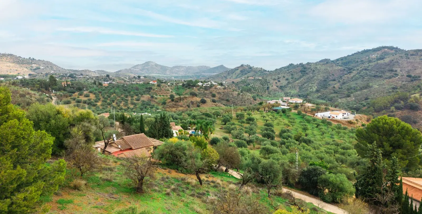 Sale of detached villa in Monda 39