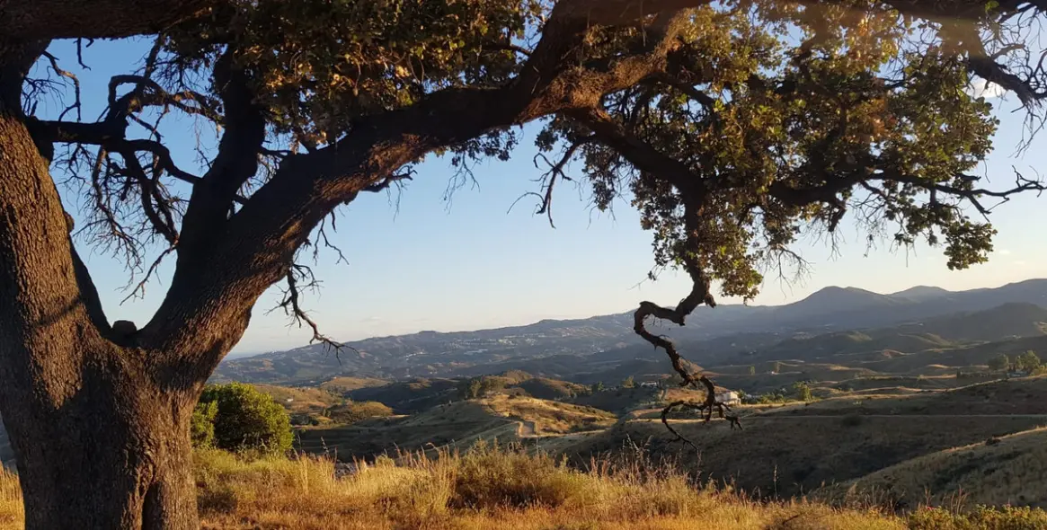 Venta de parcela residencial en Valtocado 4