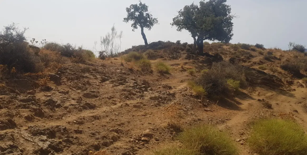 Venta de parcela residencial en Valtocado 7