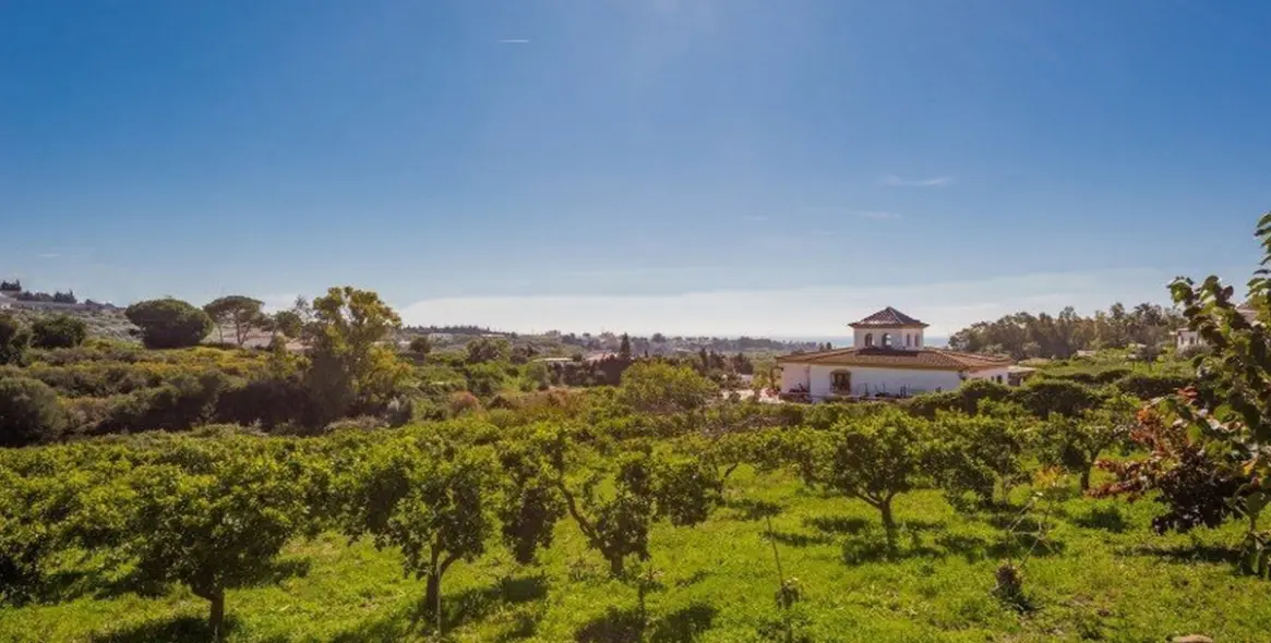 Sale of detached villa in Estepona 8