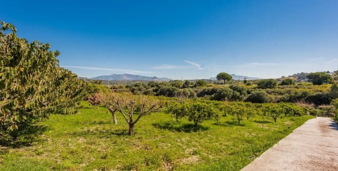 Sale of detached villa in Estepona 14