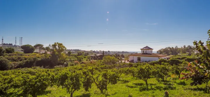 Sale of detached villa in Estepona 1