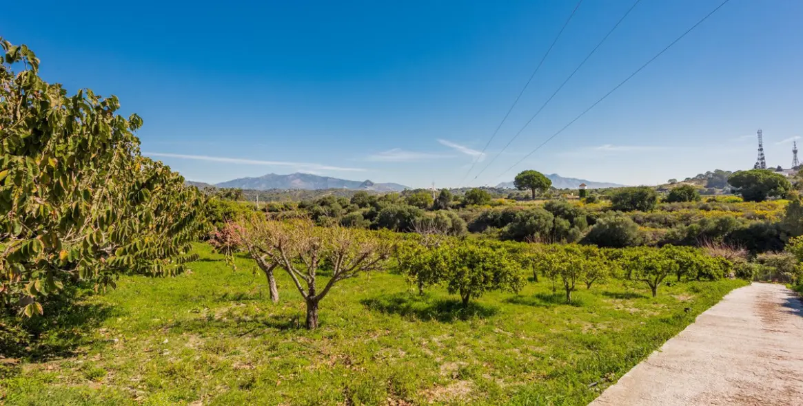Sale of detached villa in Estepona 13