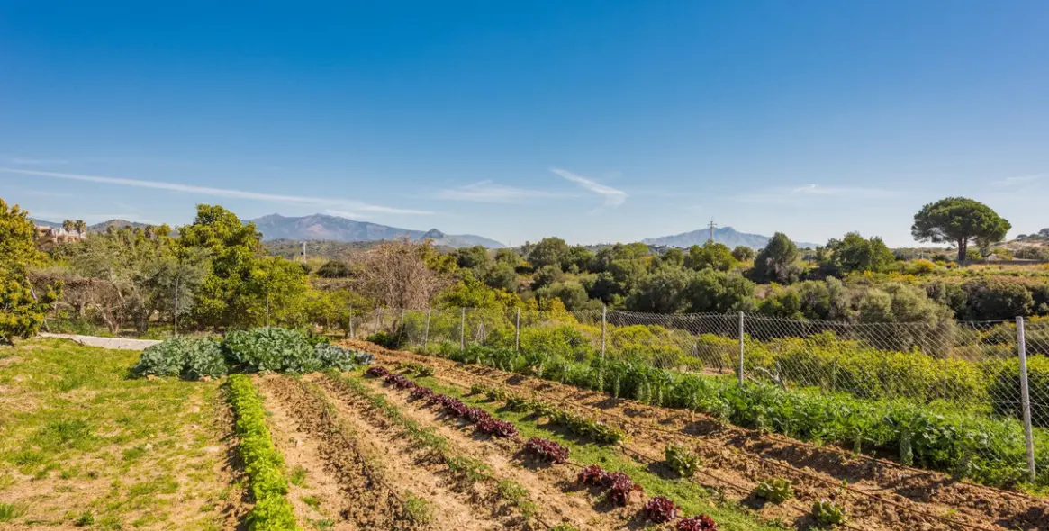 Sale of detached villa in Estepona 14