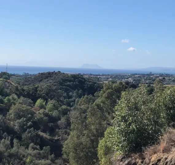 Жилой участок R3550984