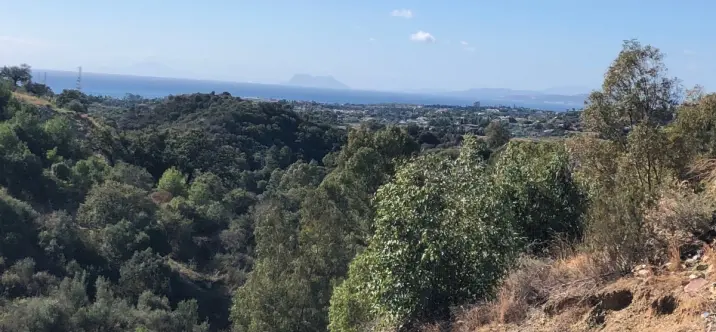 Жилой участок R3550984 3