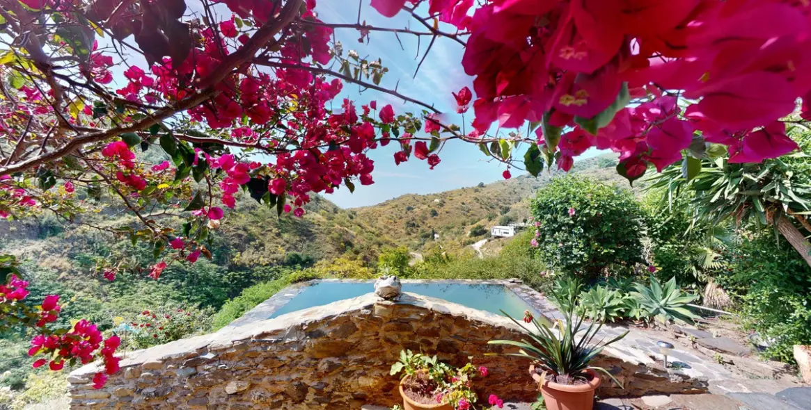 Sale of detached villa in Moclinejo 2