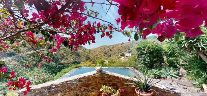 Sale of detached villa in Moclinejo 1