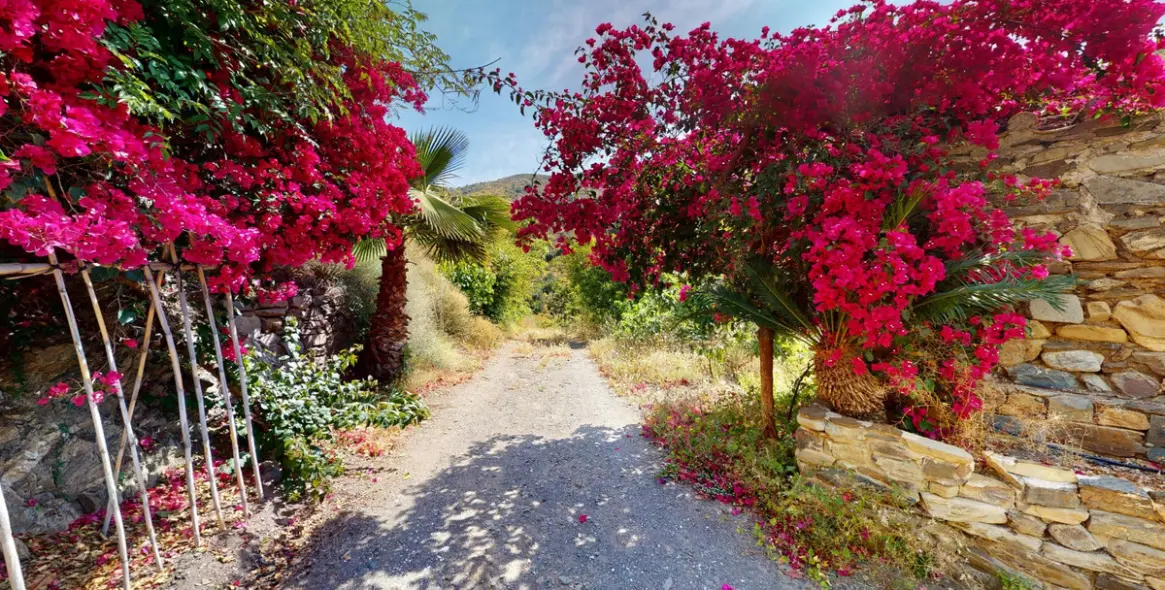 Продажа  отдельно стоящей виллы в Moclinejo 41