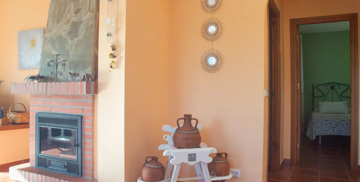 Продажа  отдельно стоящей виллы в Frigiliana 9