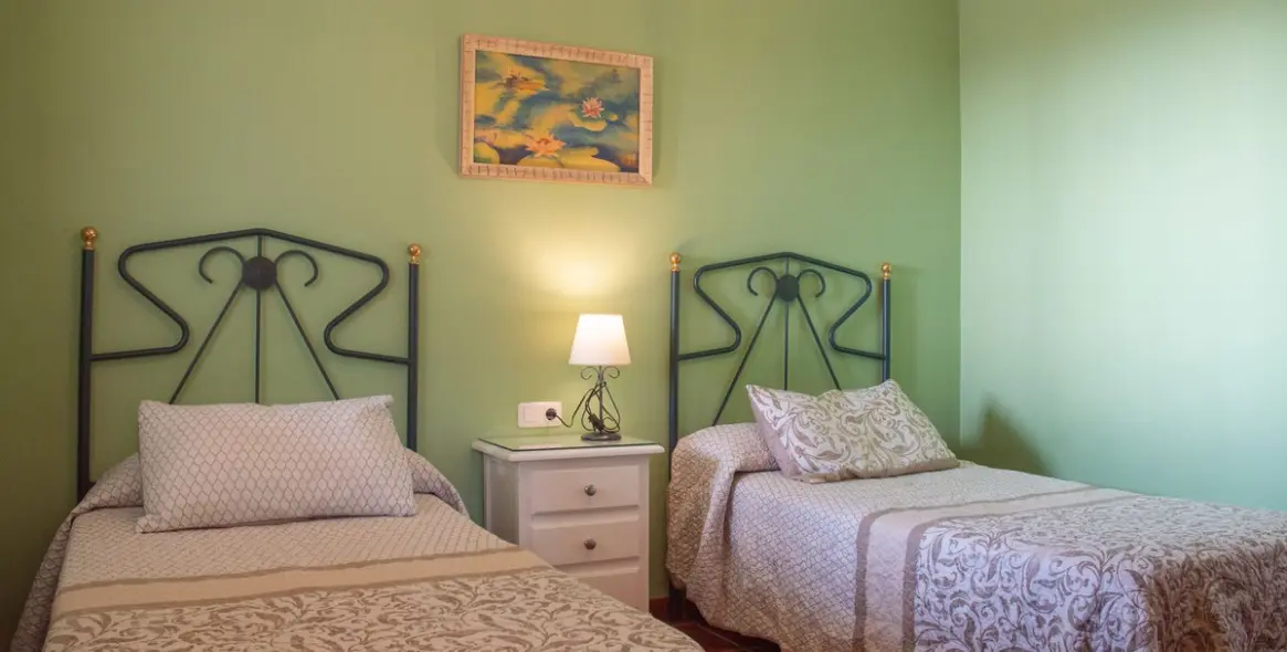 Продажа  отдельно стоящей виллы в Frigiliana 15