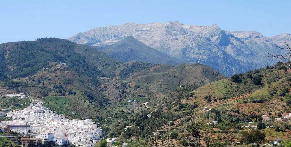 Sale of hotel in Tolox 49