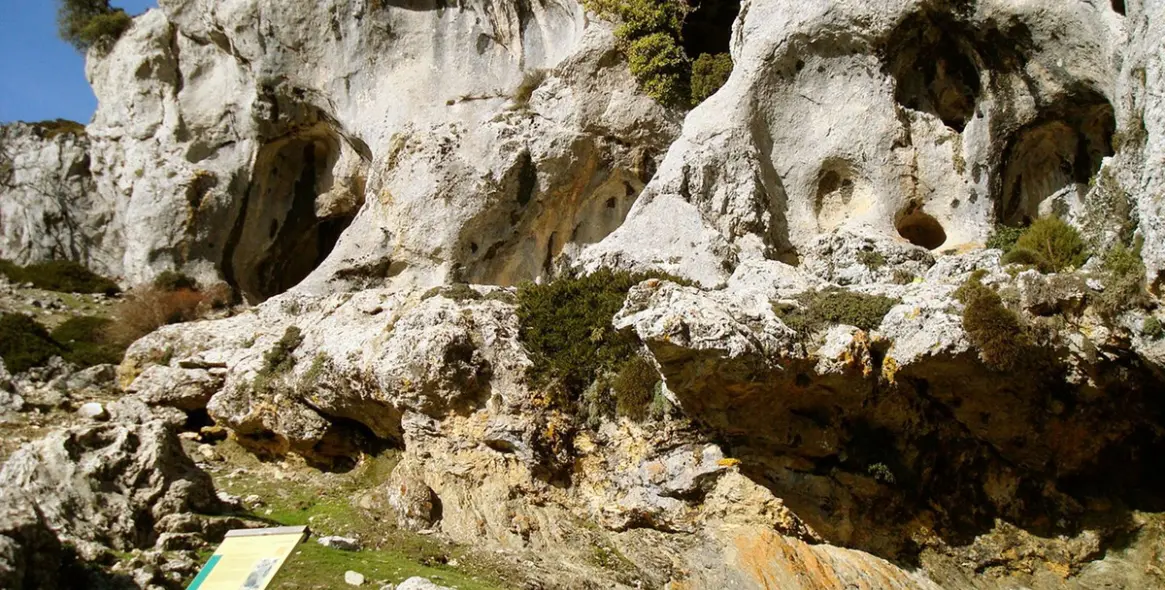 Sale of hotel in Tolox 51