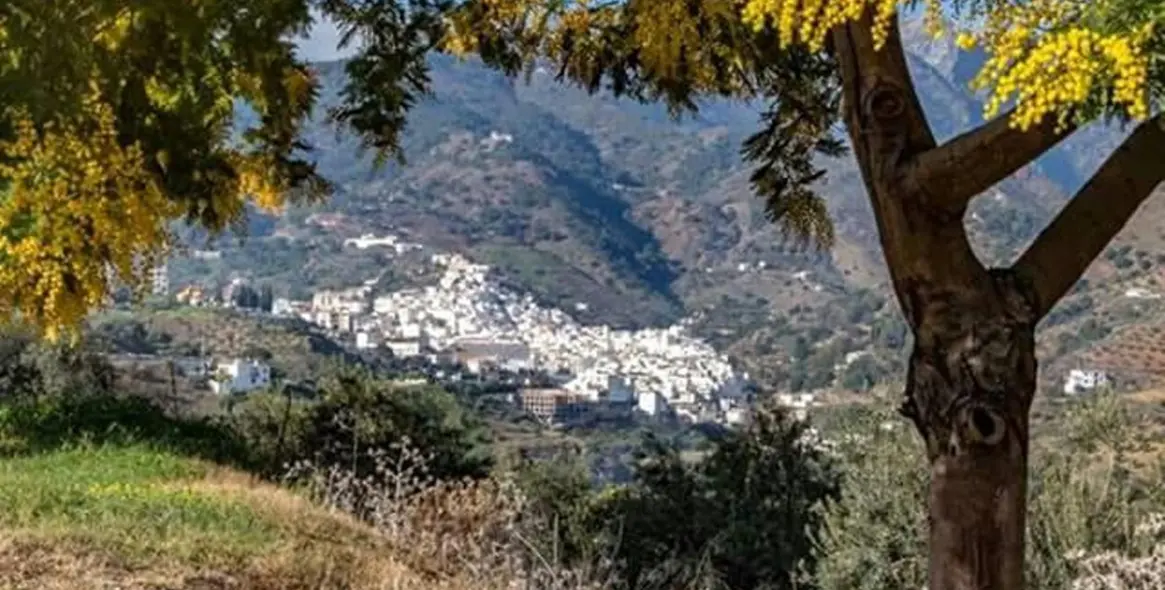 Sale of hotel in Tolox 52