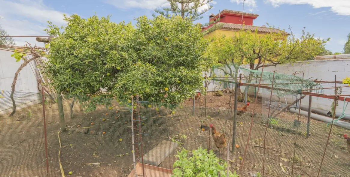 Venta de villa independiente en Las Chapas 15