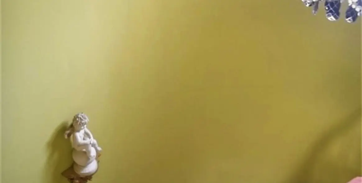 Продажа  отдельно стоящей виллы в Mijas Costa 21