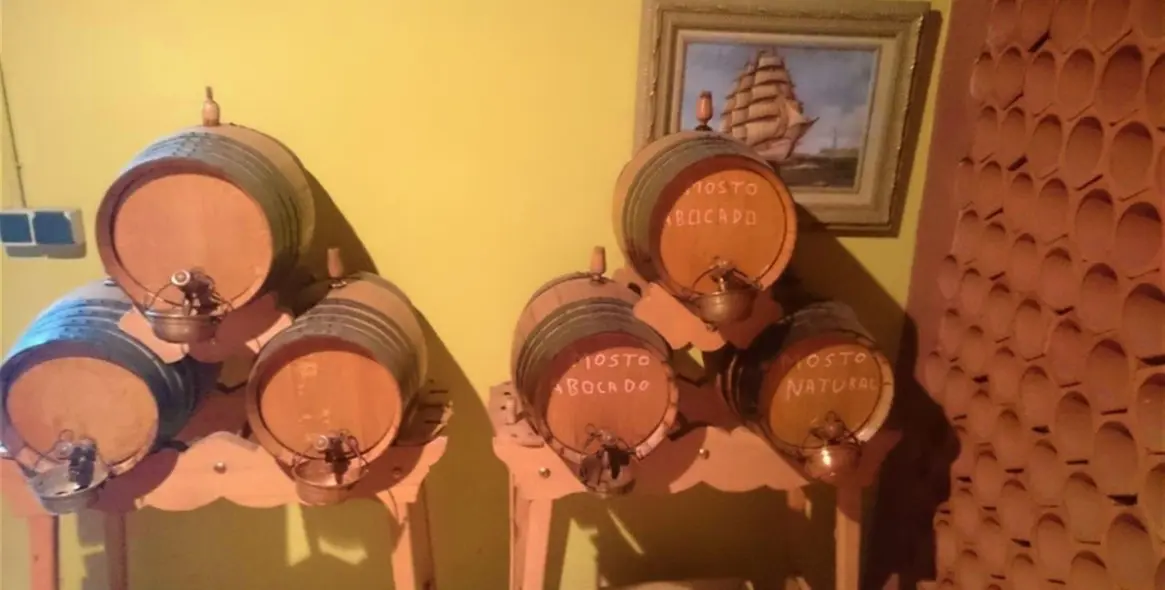 Продажа  отдельно стоящей виллы в Mijas Costa 49