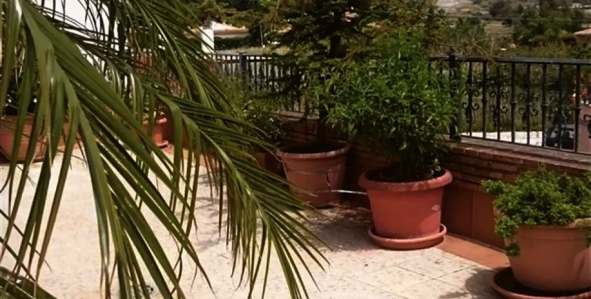 Продажа  отдельно стоящей виллы в Mijas Costa 50