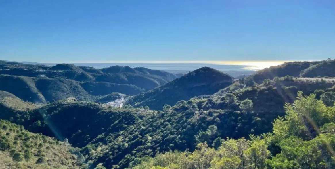 Продажа  отдельно стоящей виллы в Benahavís (район Benahavís) 15