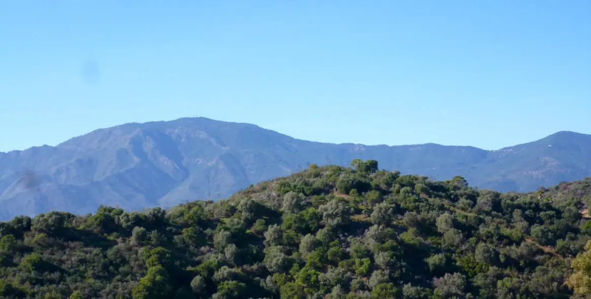 Sale of residential plot in New Golden Mile 5