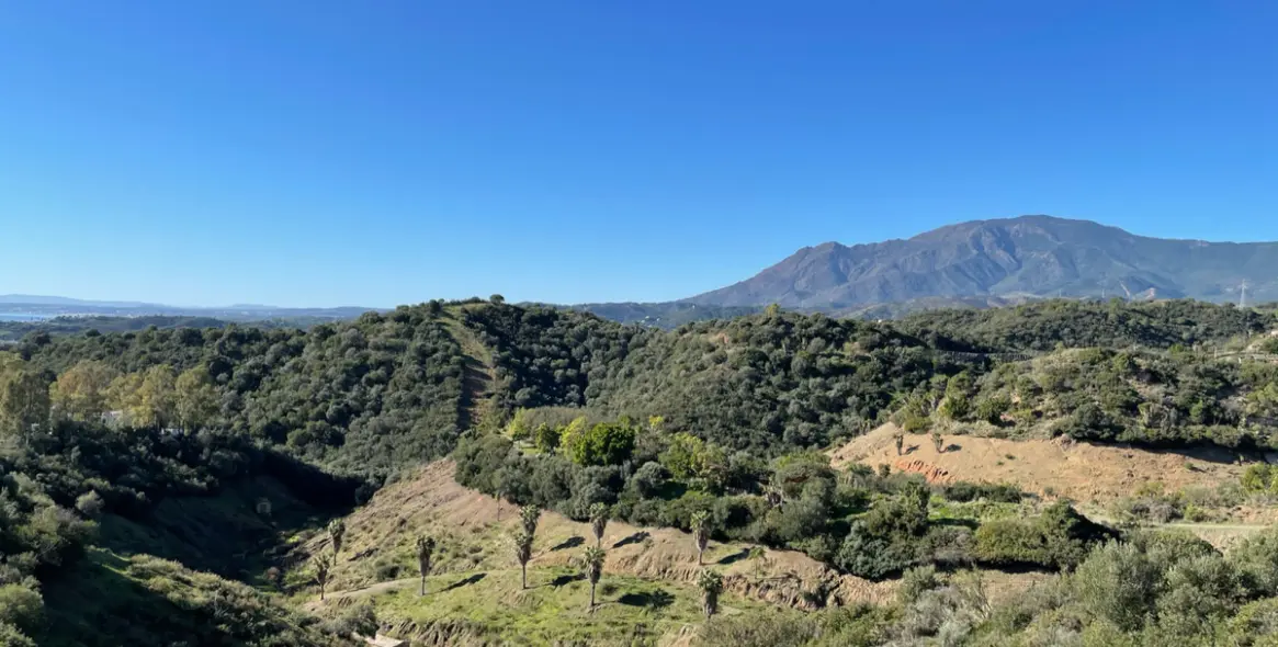 Sale of residential plot in New Golden Mile 6