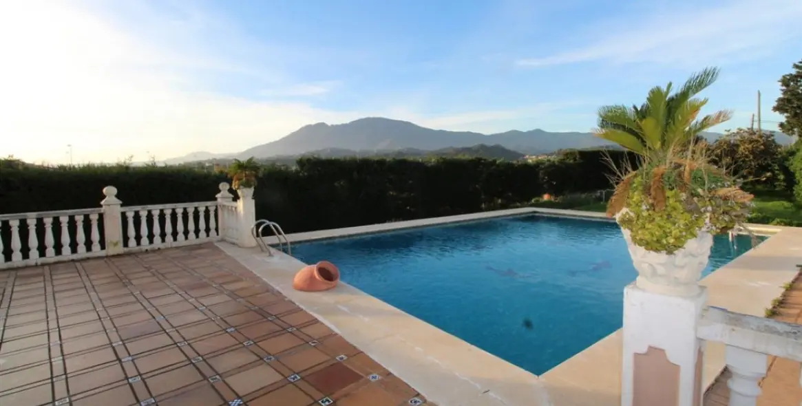 Продажа ресторана в Estepona 2