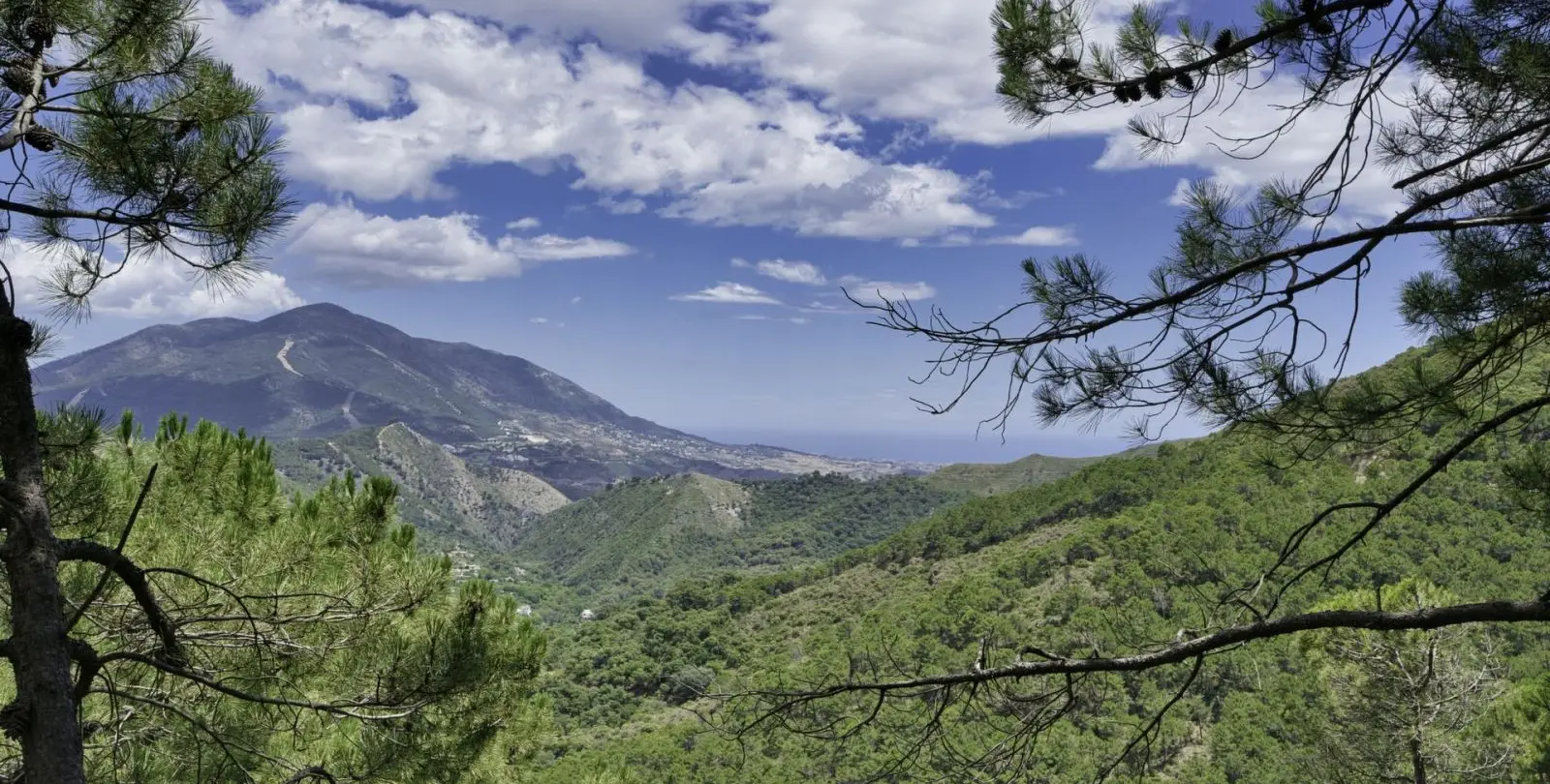 Venta de parcela residencial en Coín 1
