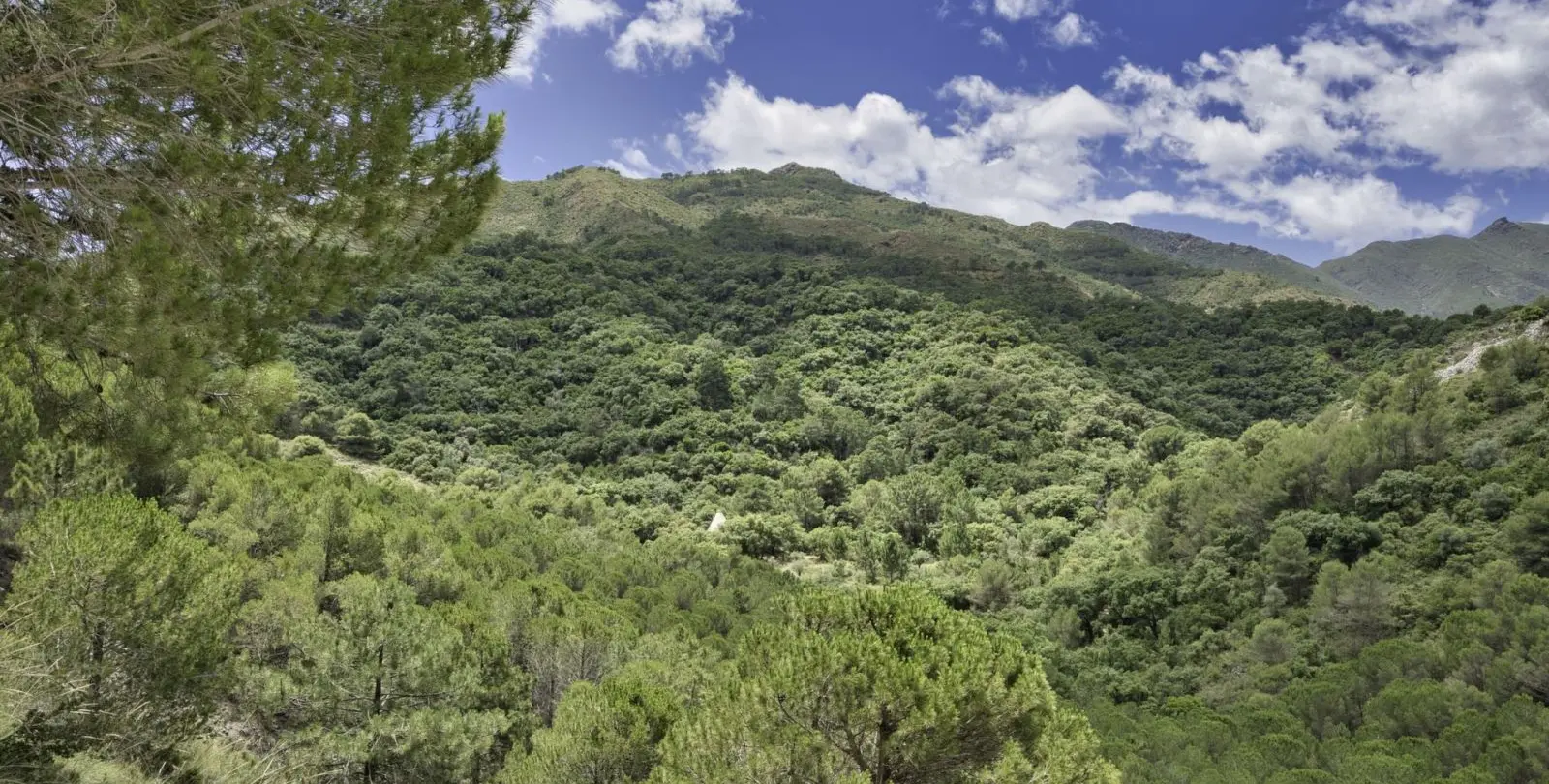 Venta de parcela residencial en Coín 3