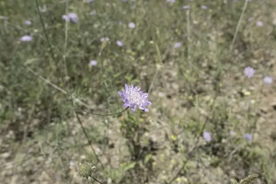 Image 7 thumb