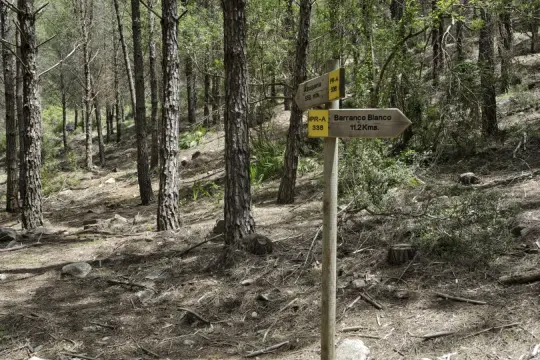Image 8 thumb