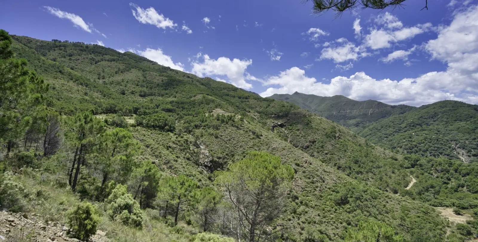 Venta de parcela residencial en Coín 11