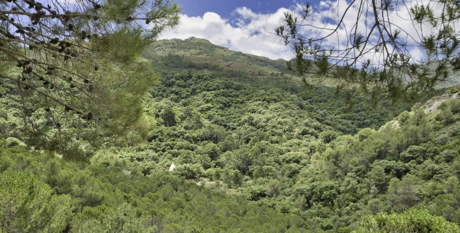 Venta de parcela residencial en Coín 12