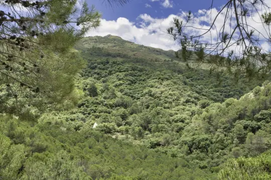 Image 12 thumb