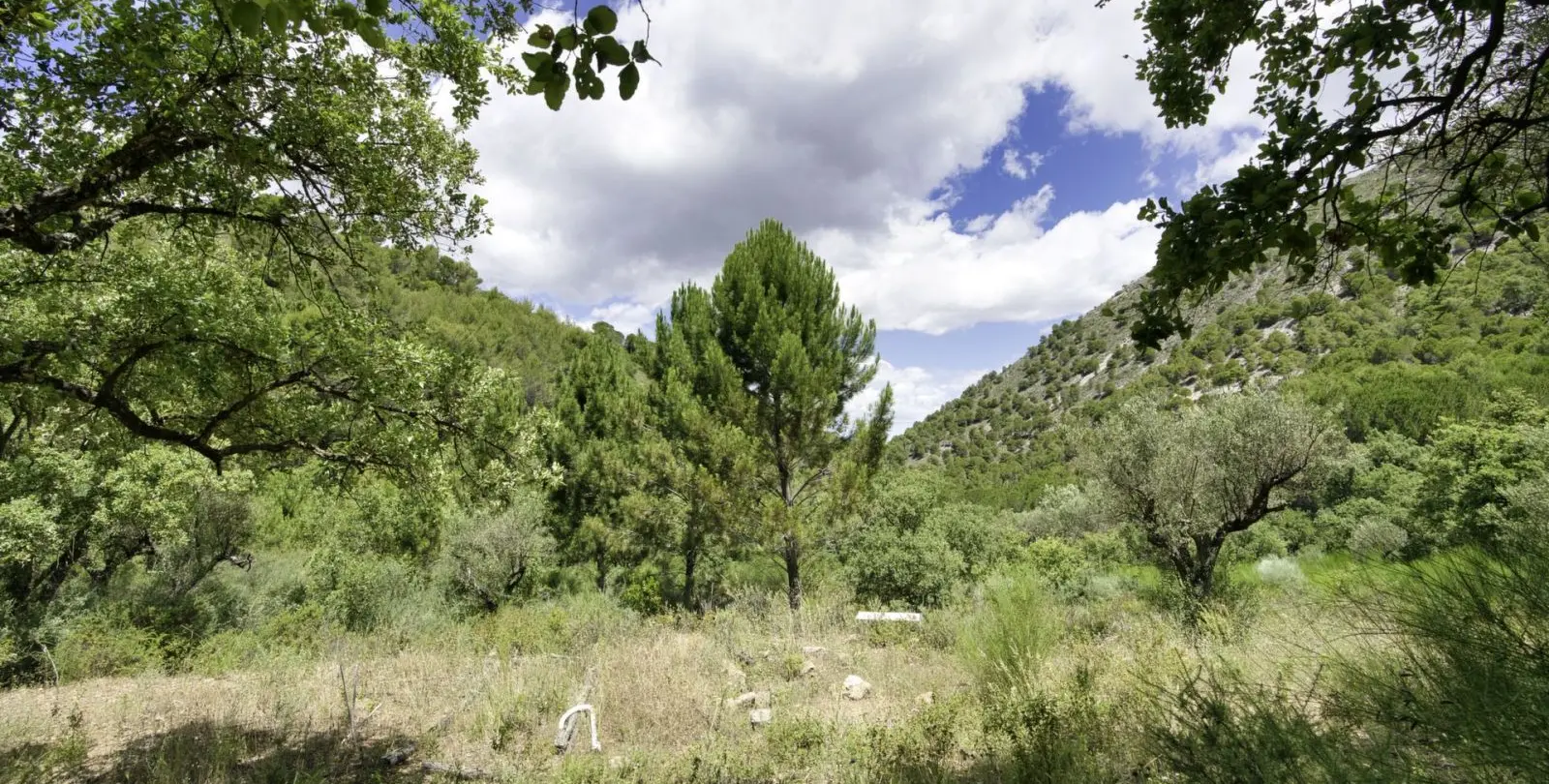Venta de parcela residencial en Coín 13