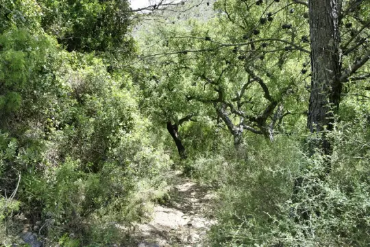 Image 18 thumb