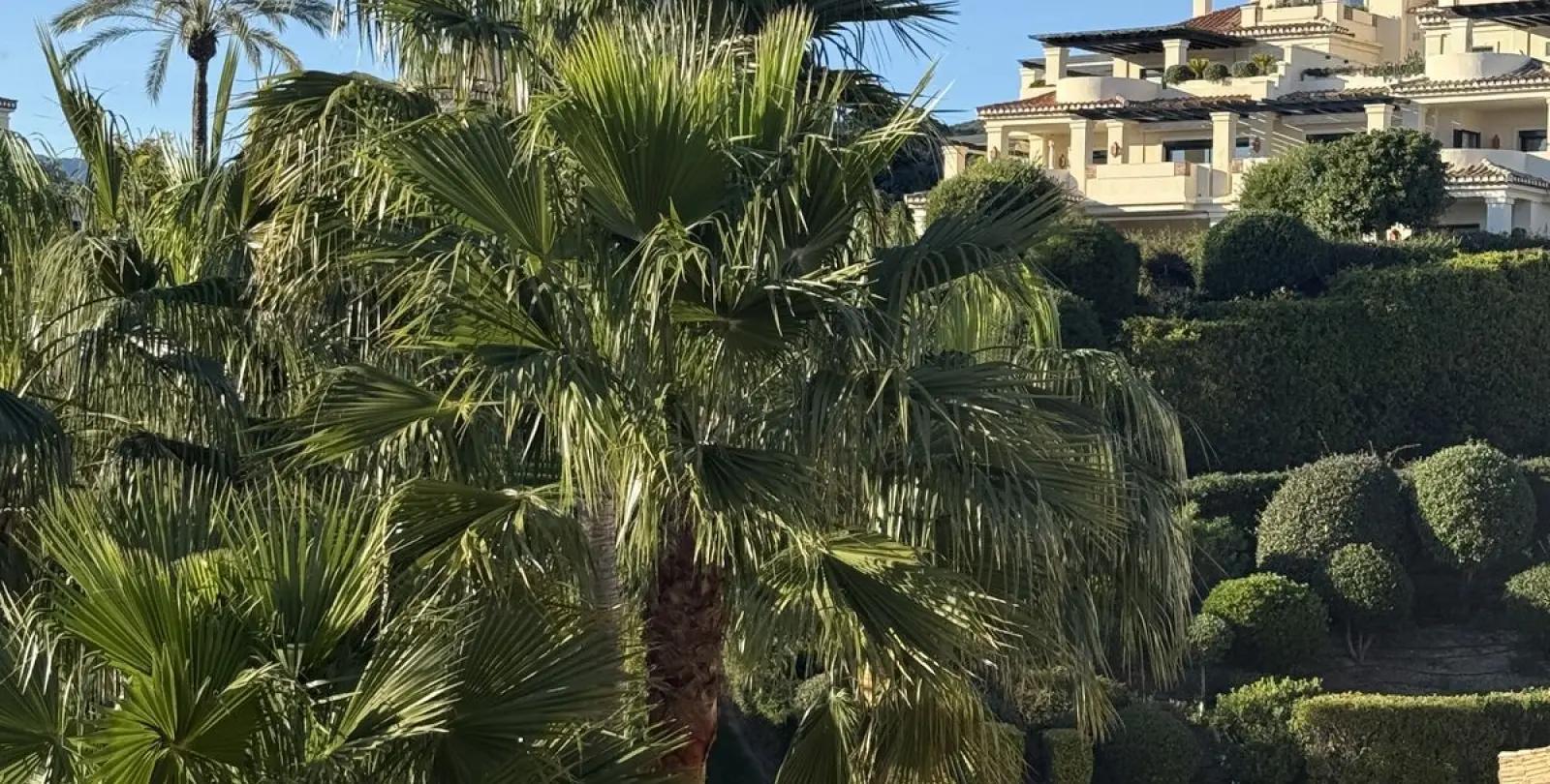Sale of penthouse duplex in Benahavís 6