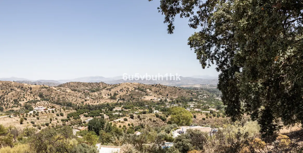 Продажа  жилого участка в Coin 1