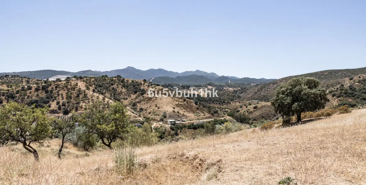 Продажа  жилого участка в Coin 5