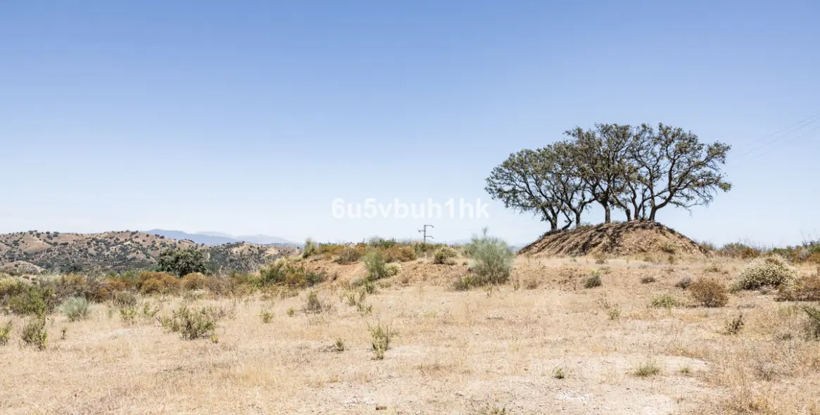 Продажа  жилого участка в Coin 6