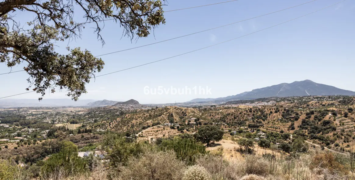 Продажа  жилого участка в Coin 8