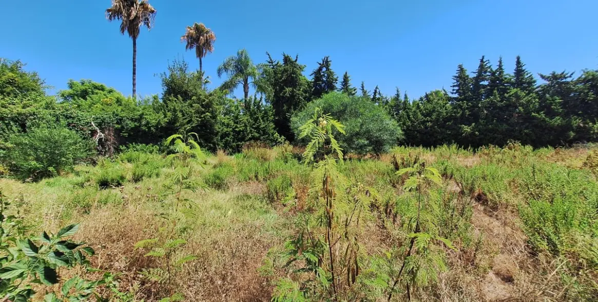 Venta de parcela residencial en Atalaya 13