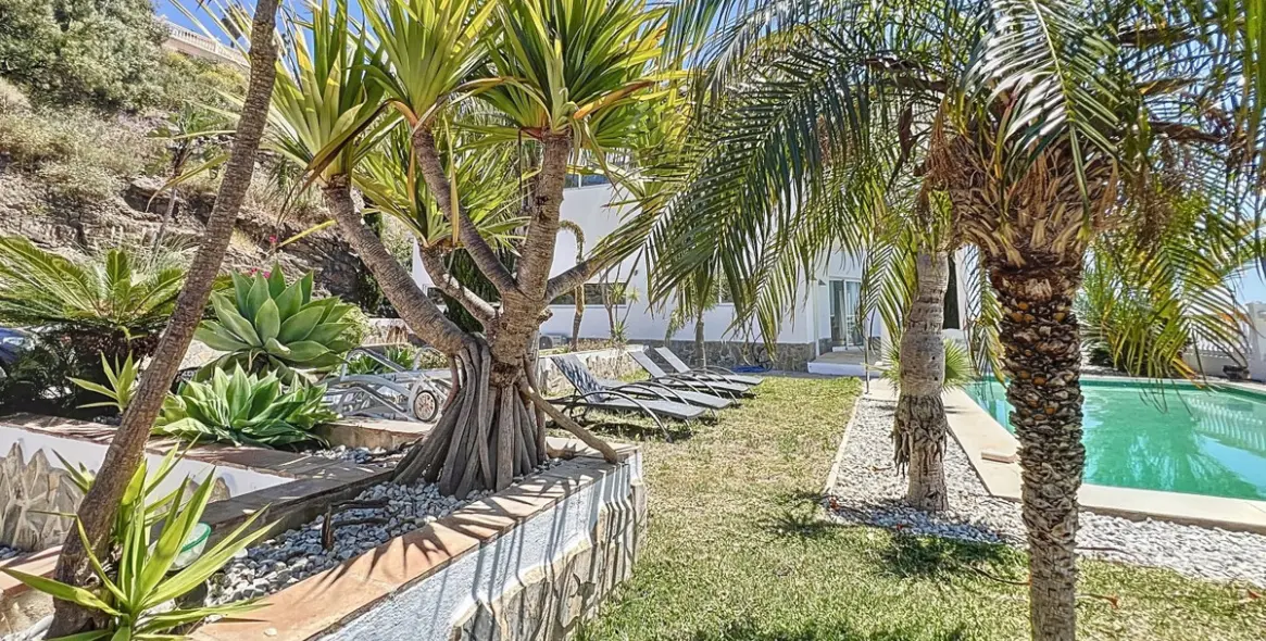 Sale of detached villa in Algarrobo 4