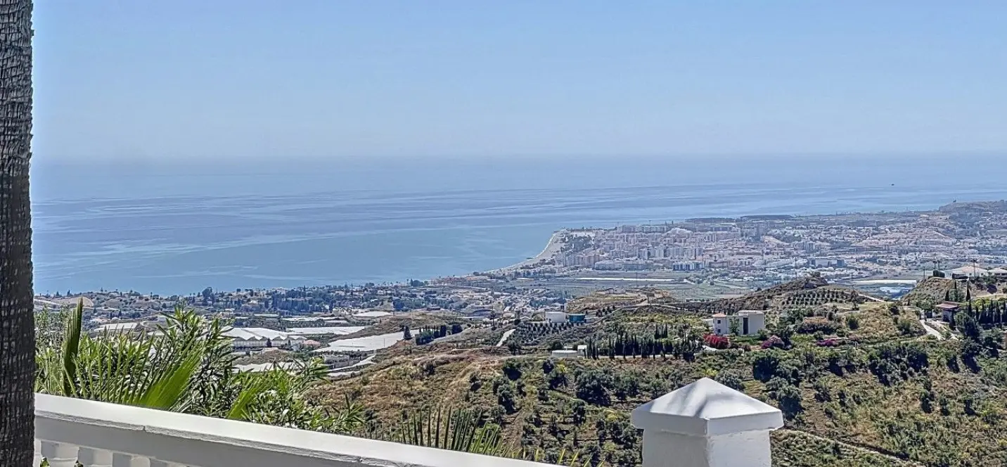 Sale of detached villa in Algarrobo 2