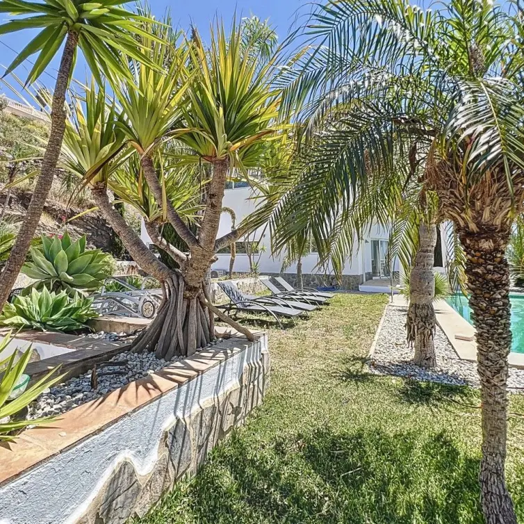 Sale of detached villa in Algarrobo