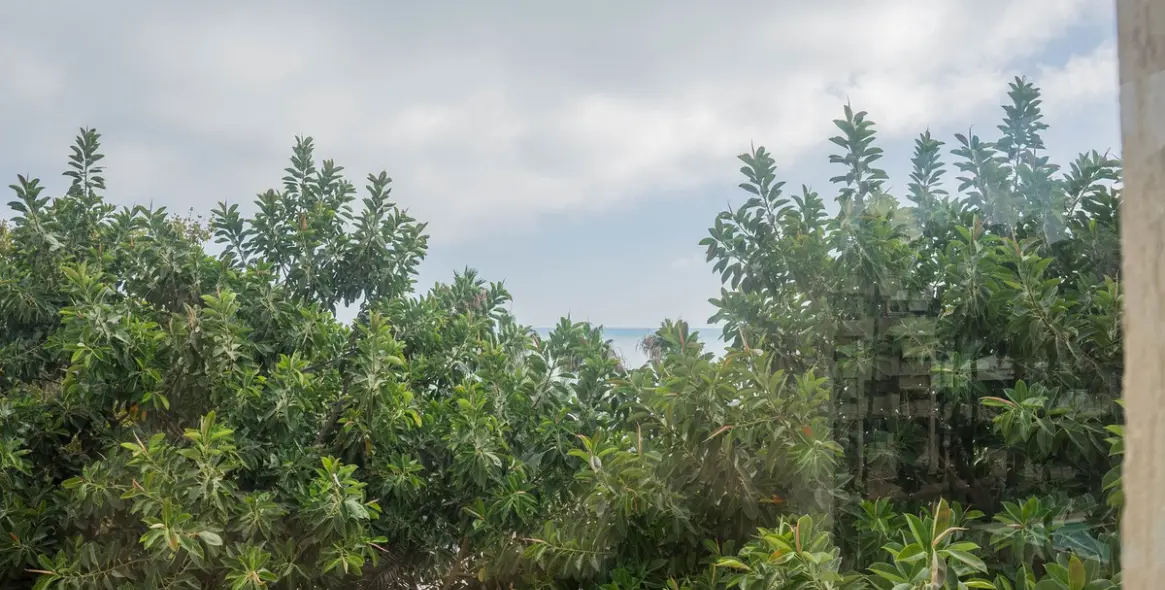 Sale of middle floor apartment in Torremolinos 14